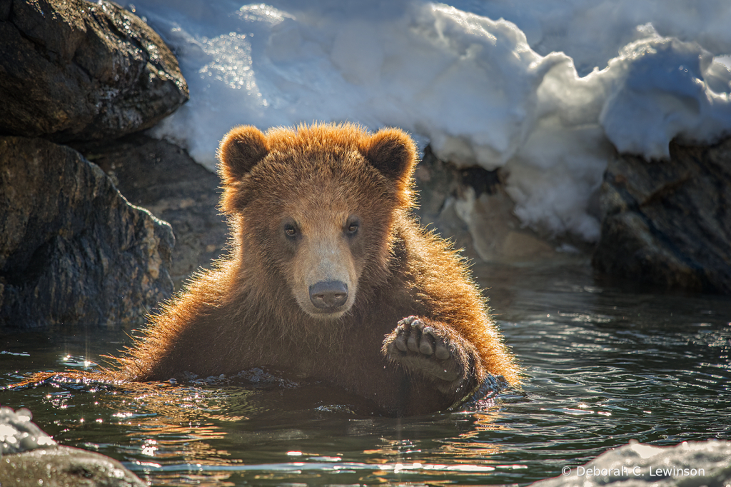 Taking a Bath