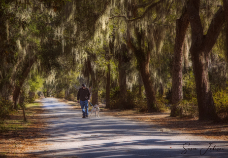 Walking in Savannah