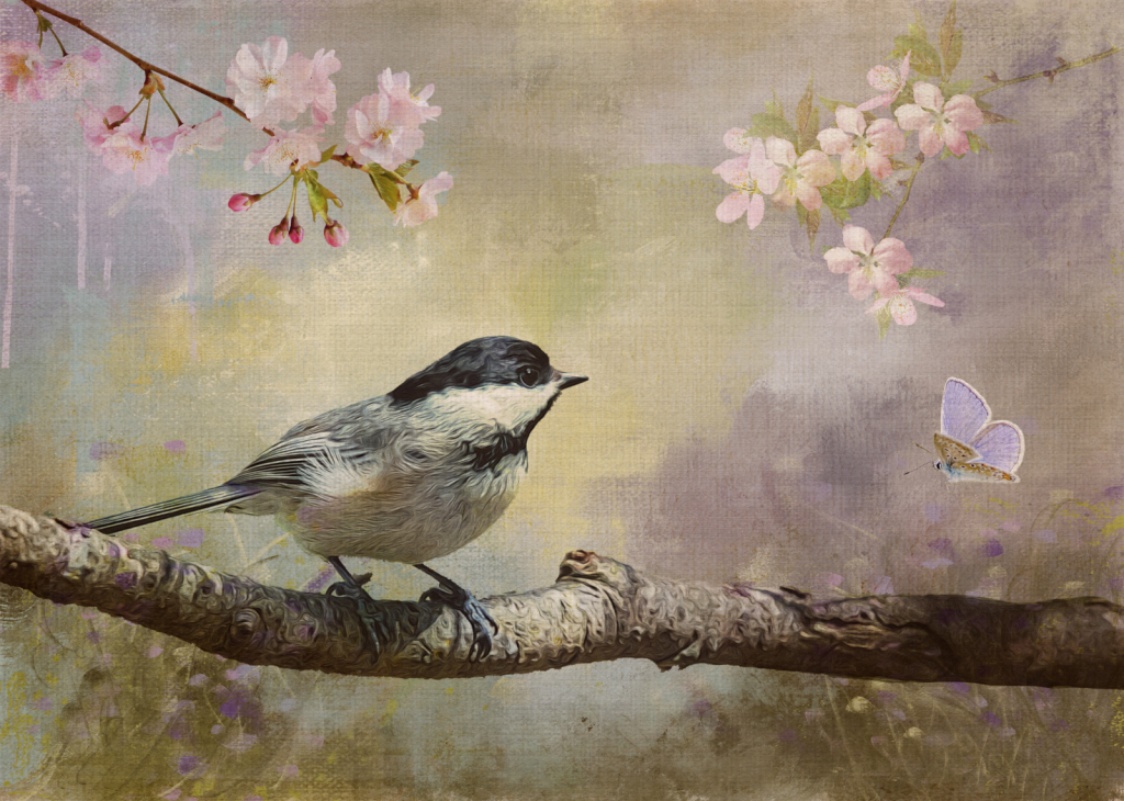 Sparrow In Springtime