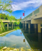 A Bridge Divided 