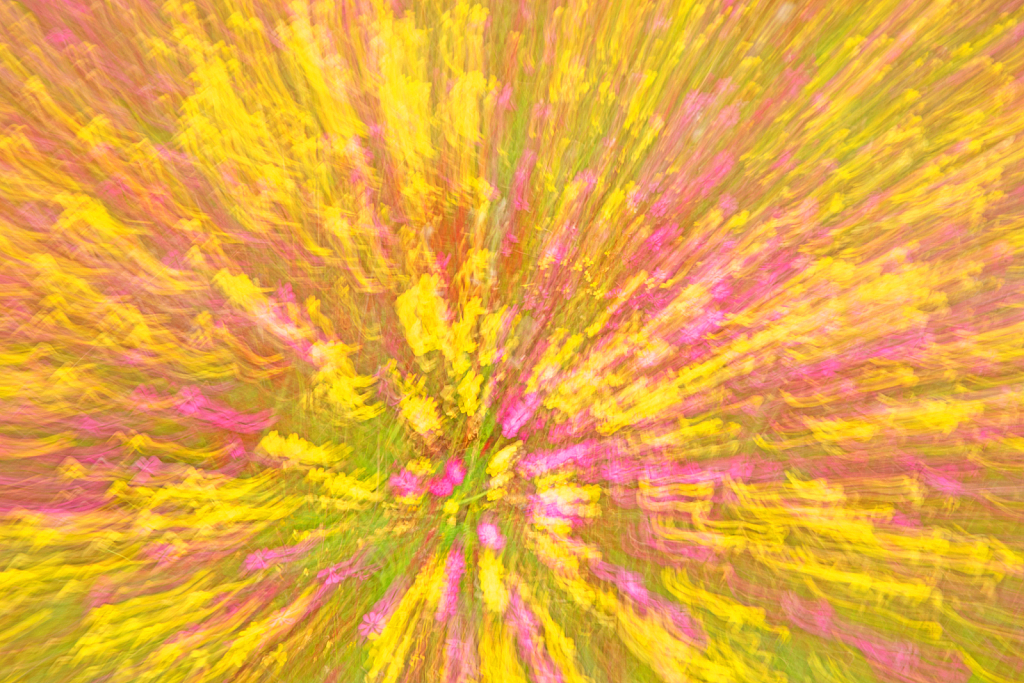 Flower Painting Abstract.