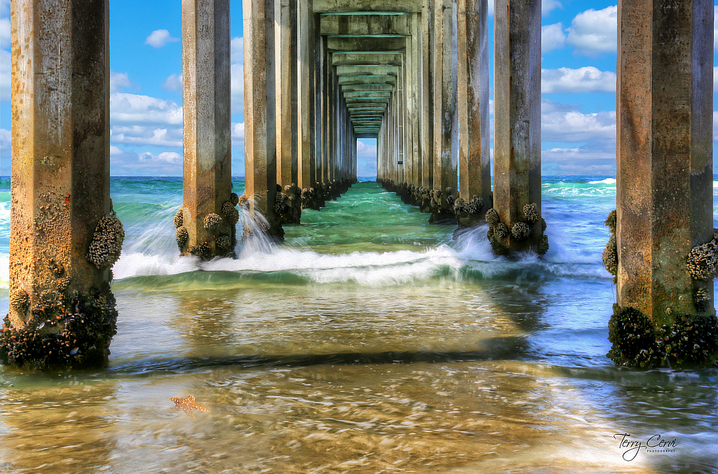 Down By the Pier