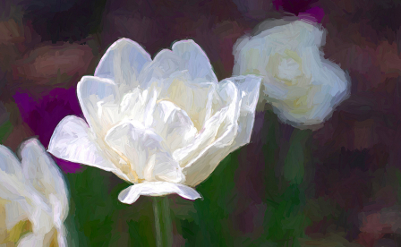 White Tulip Painting