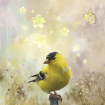 Golden Spring Tim...