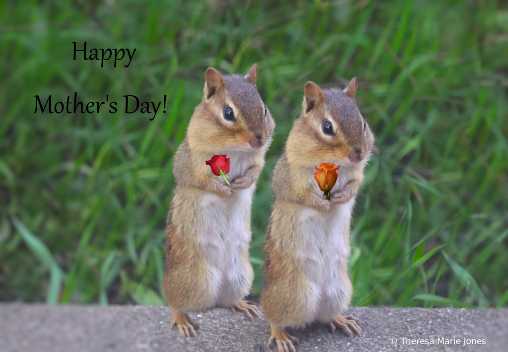 Happy Mother's Day - ID: 16066893 © Theresa Marie Jones