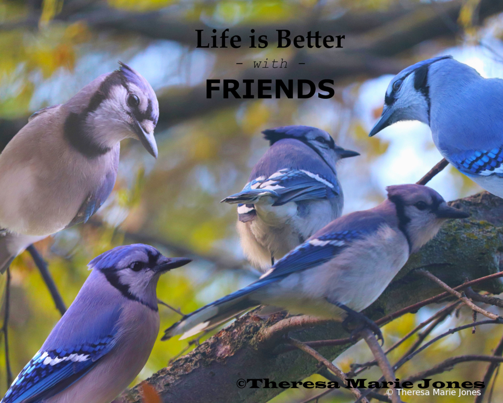 Life is Better with Friends