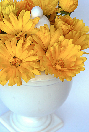 Vase with Yellow Flowers
