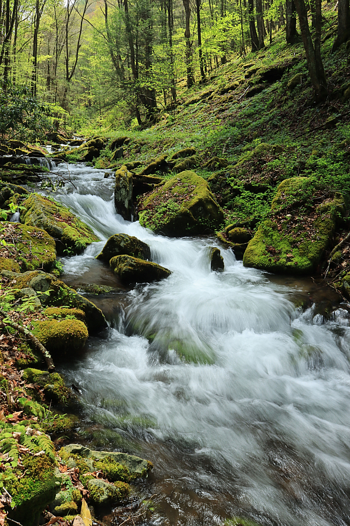 Mountain Stream