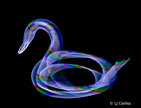 light swan
