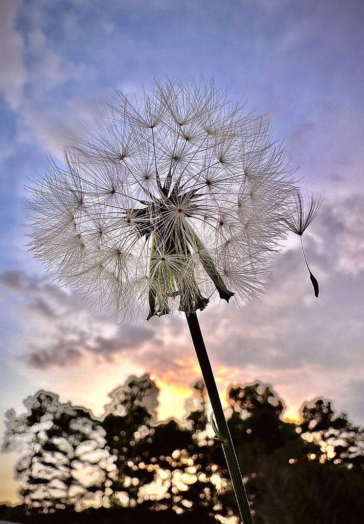 Awaiting the breeze  - ID: 16067541 © Elizabeth A. Marker