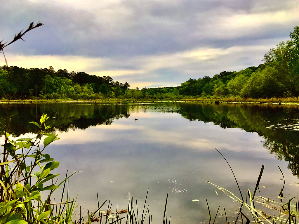 Peaceful reflections  - ID: 16068007 © Elizabeth A. Marker