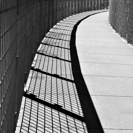 Curved Shadows