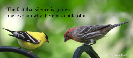 The fact that silence is golden....