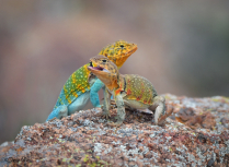 May 2023 Photo Contest 2nd Place Prize Winner