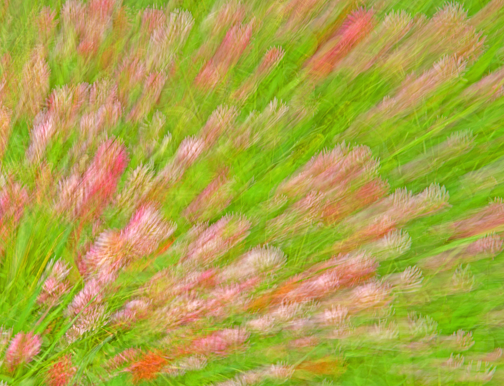 Flower and Grass movement.
