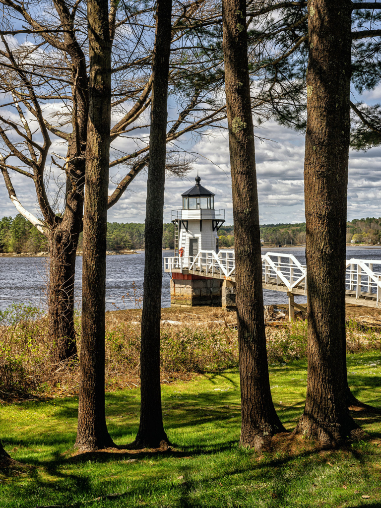 Beacon Through the Pines