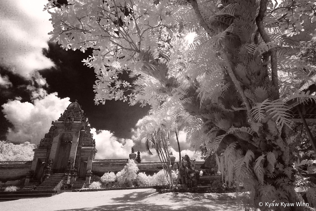 IR Black And White 