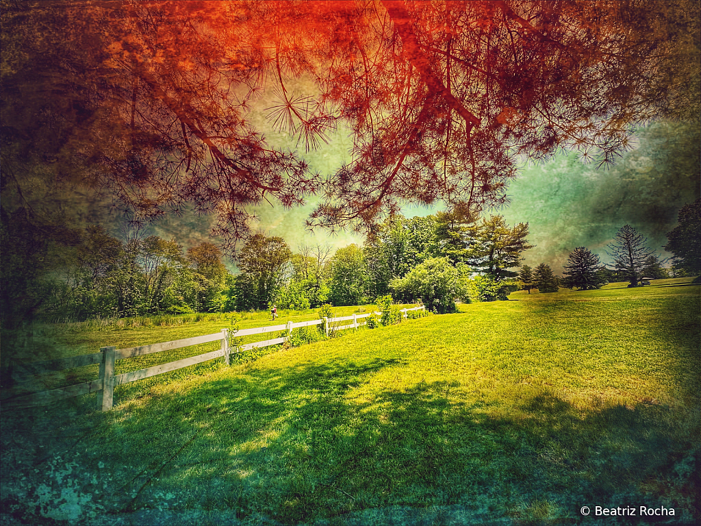 Fields in Technicolor