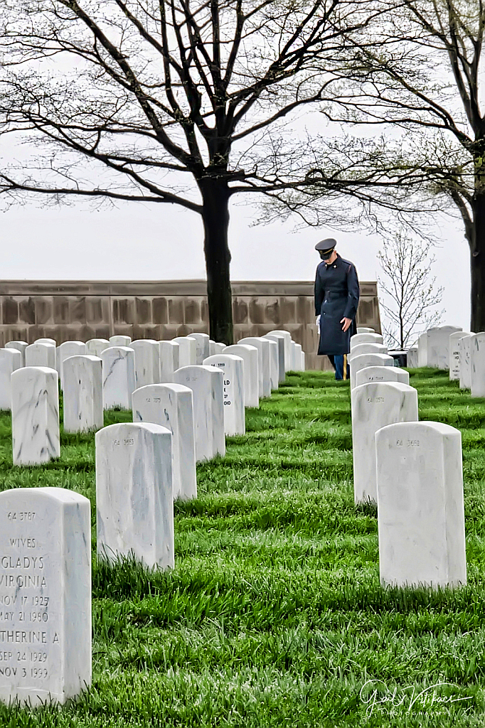 Memorial Day Tribute