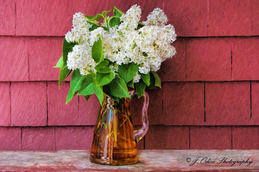 VanGogh's Lilacs