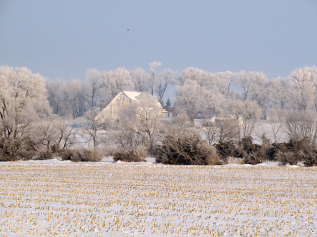 Barn In The Frosty Morning