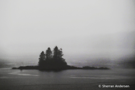 Out of the Mist