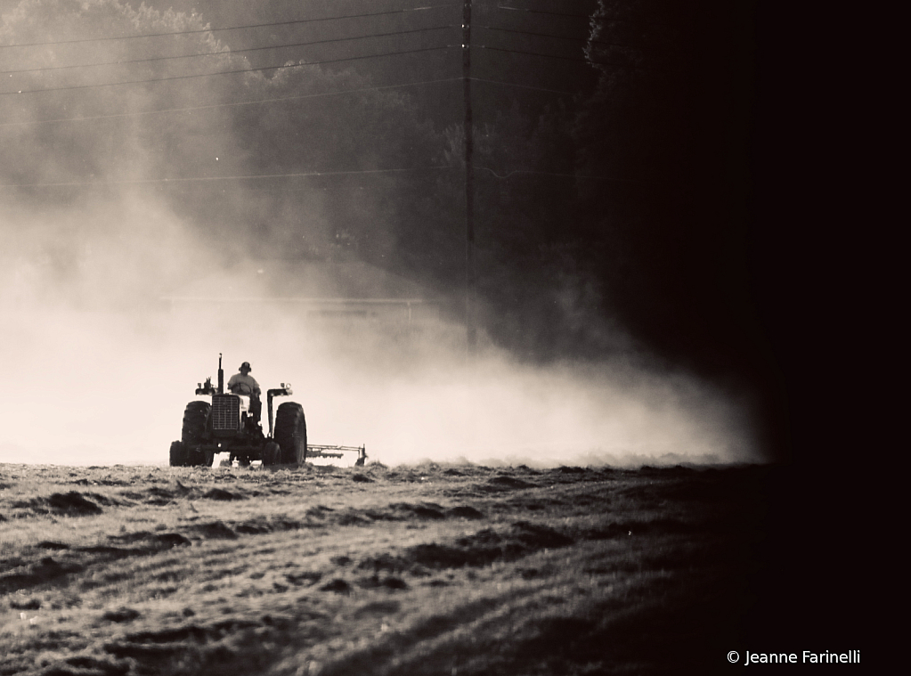 Making Hay