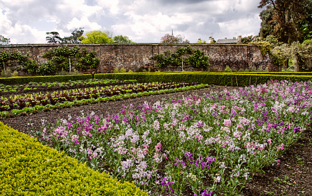 Geometry of a Garden