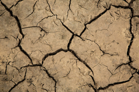 Dry Mud