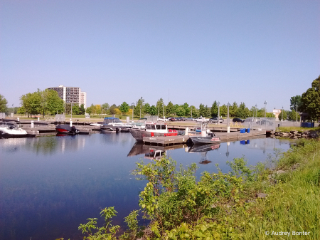 View from the Harbour