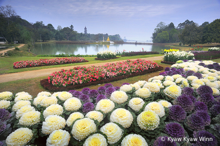 The Park