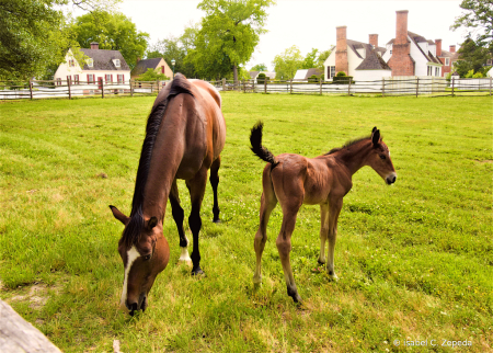 Mom and Baby