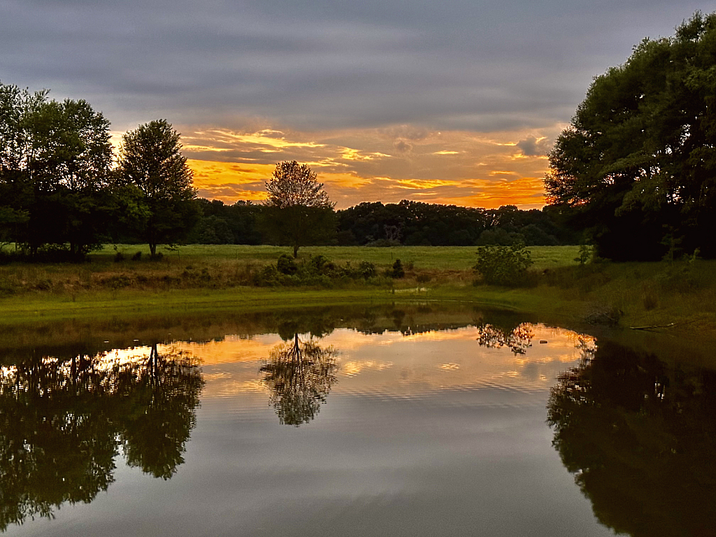 Mirror in the pond - ID: 16069948 © Elizabeth A. Marker