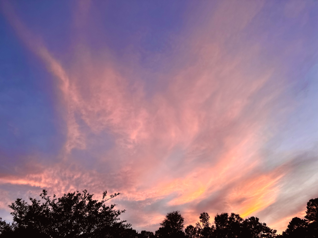 Neon sunset - ID: 16069956 © Elizabeth A. Marker