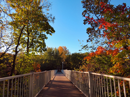 Autumn at The Footbridge