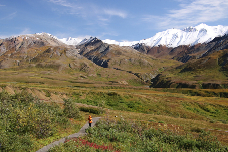 Denali Natural Park