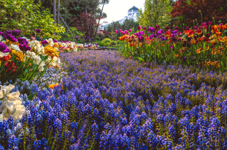 Secret Garden 