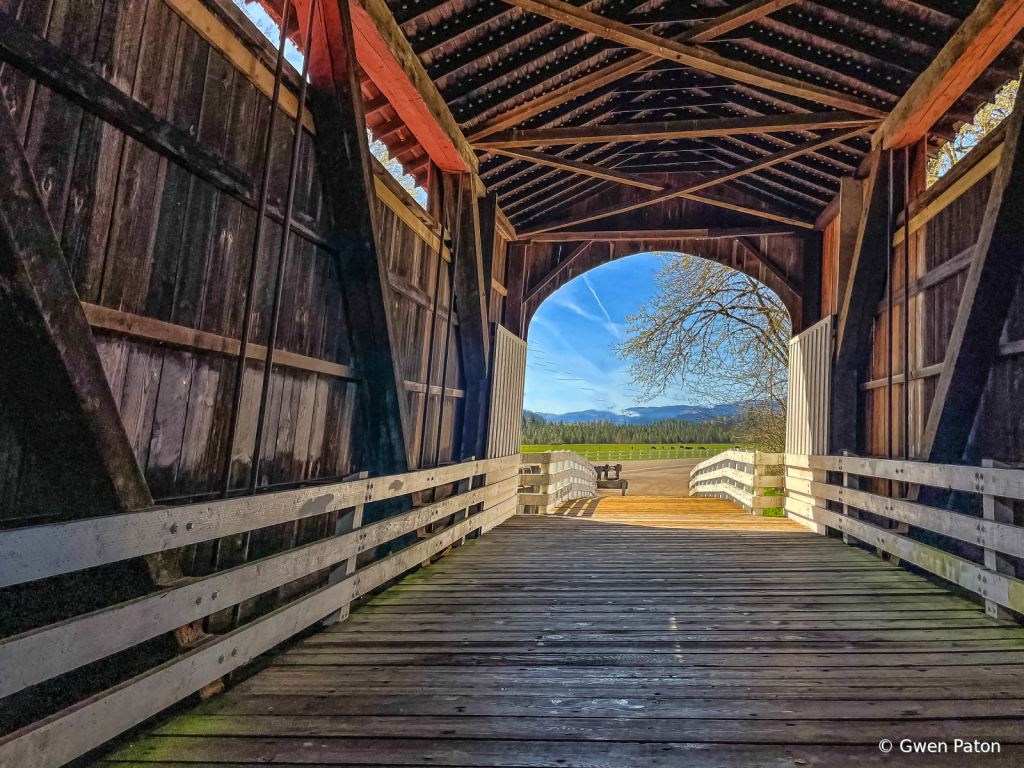 Bridge with a View