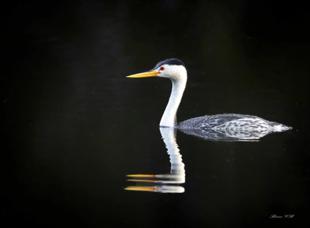 Nice reflection