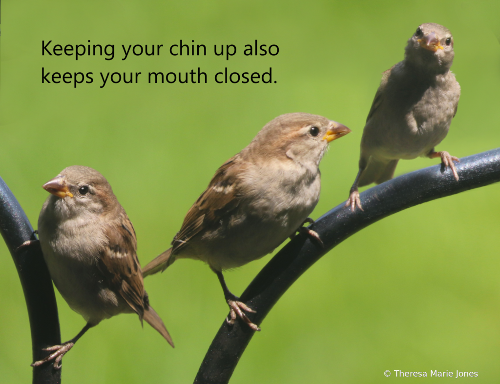 Keep Your Chin Up....
