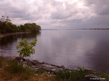 Down by the Bay