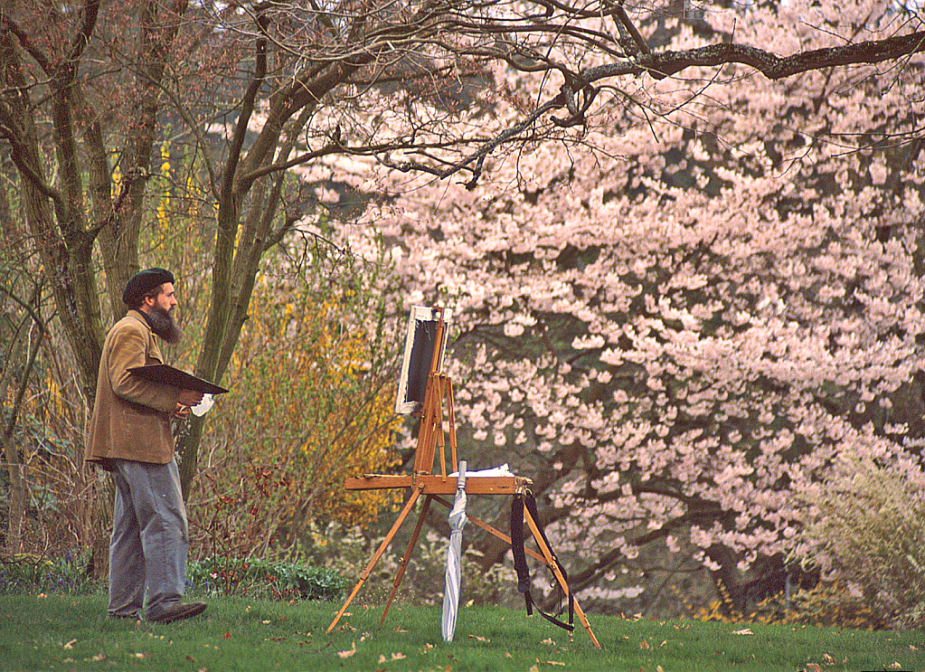 The Painter