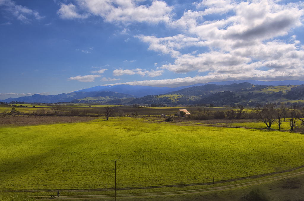 Green Pastures - ID: 16072464 © Kelley J. Heffelfinger