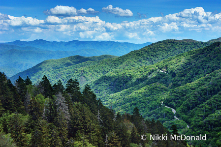 Smoky Mountains View