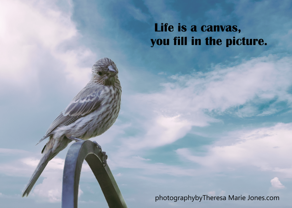 Life is a canvas...
