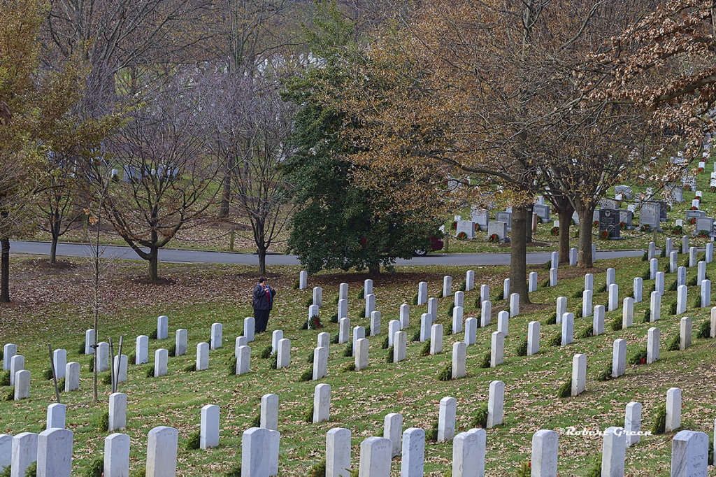 Remembrance - ID: 16073254 © Robert/Donna Green