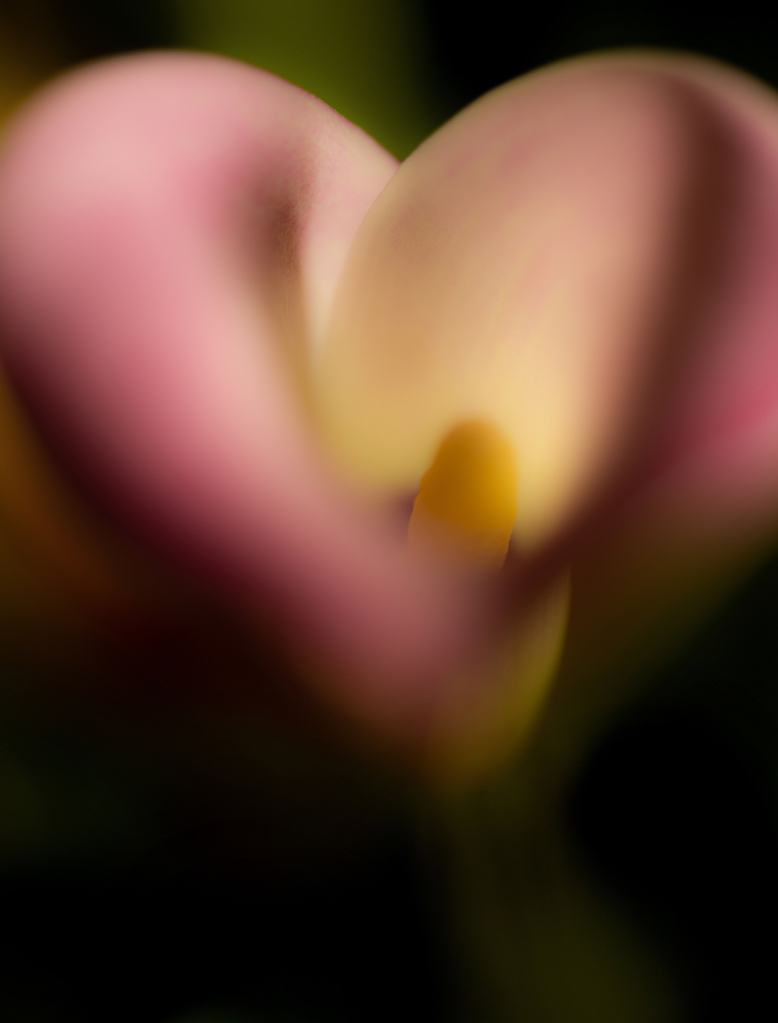 img7