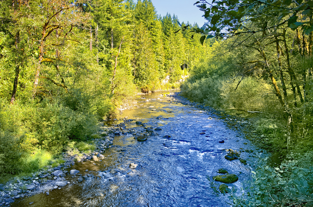 Up the Salmon River - ID: 16073612 © Kelley J. Heffelfinger