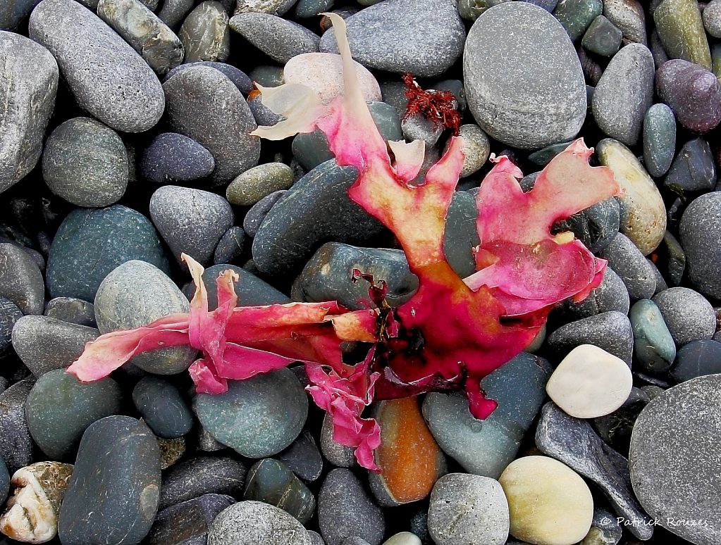 img4