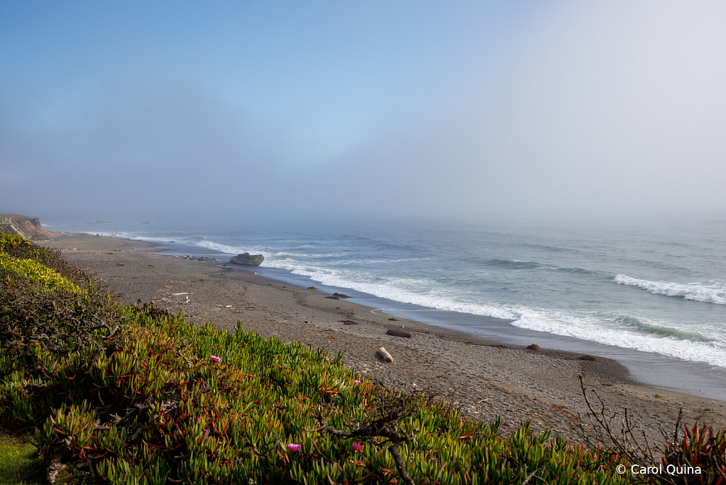 Fog Rolling In